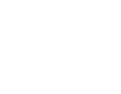 ice-9